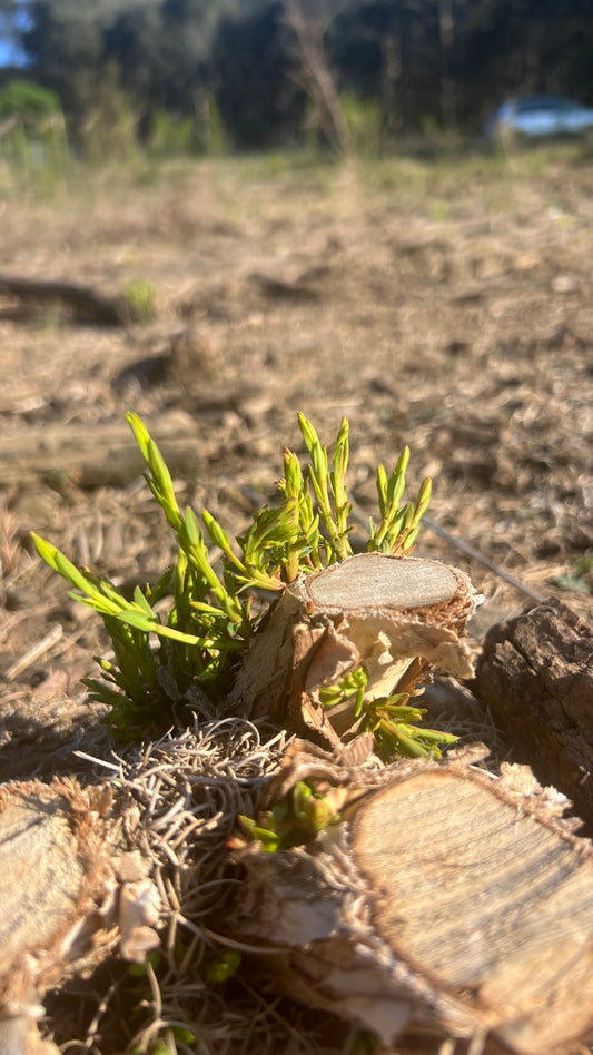 Our Farming Methods